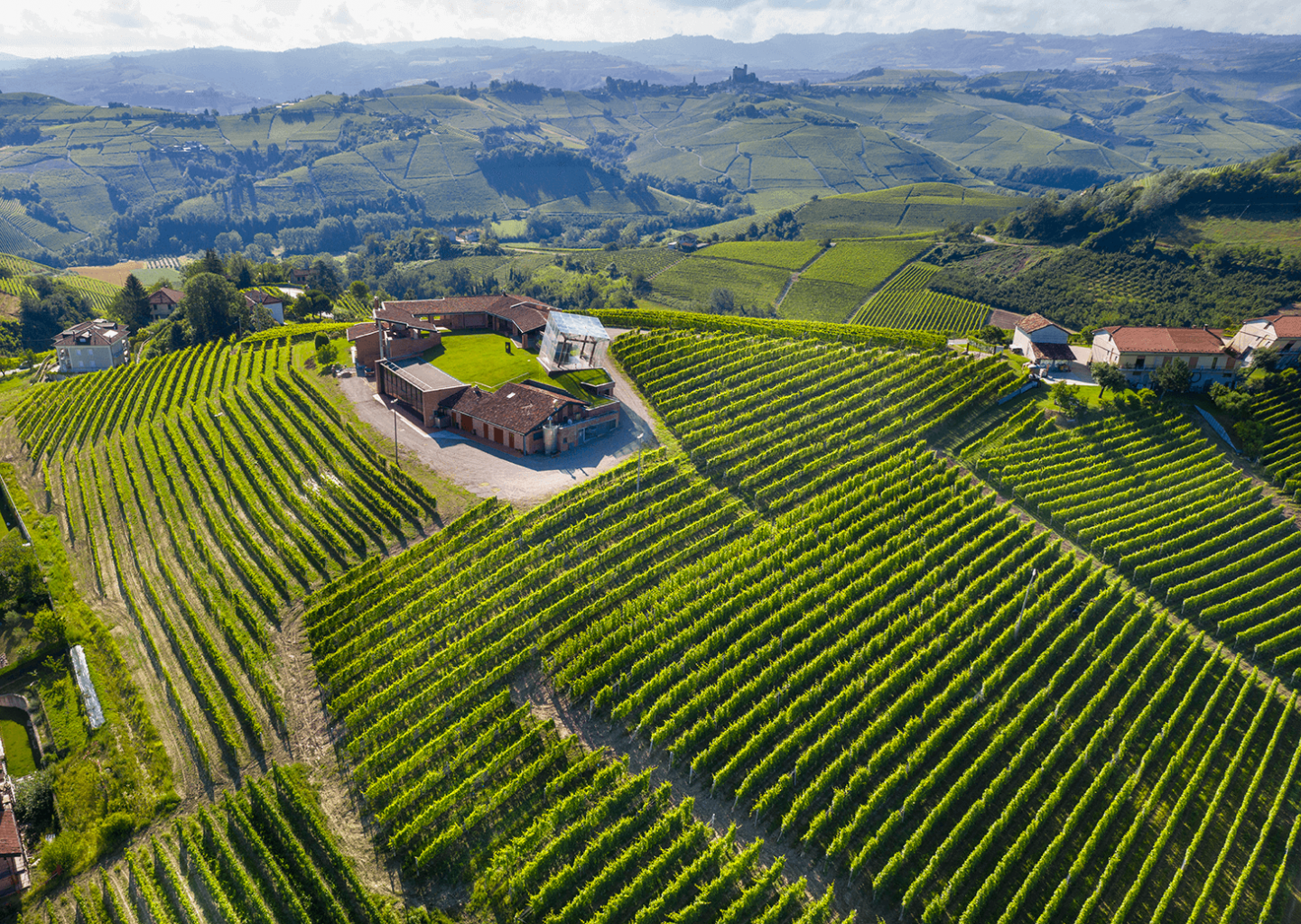 巴罗洛圣地：卡努比园