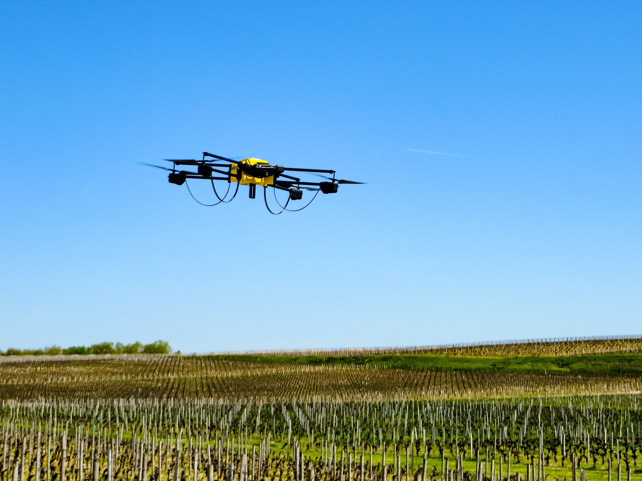 2022期酒 | 酒业巨擘匠心演绎：拉图嘉利