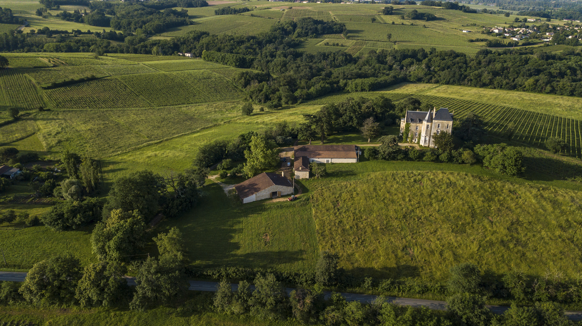 缤纷多彩，多元创新——波尔多与超级波尔多产区