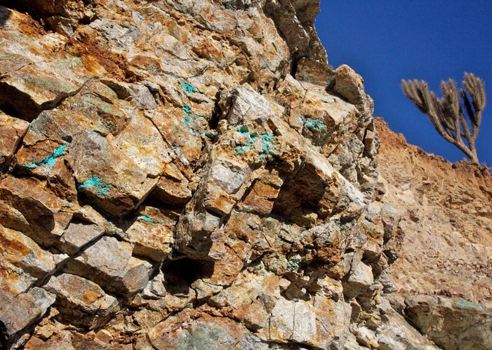 麦卡斯特选珍藏西拉套装，购买即送博芬智能酒柜