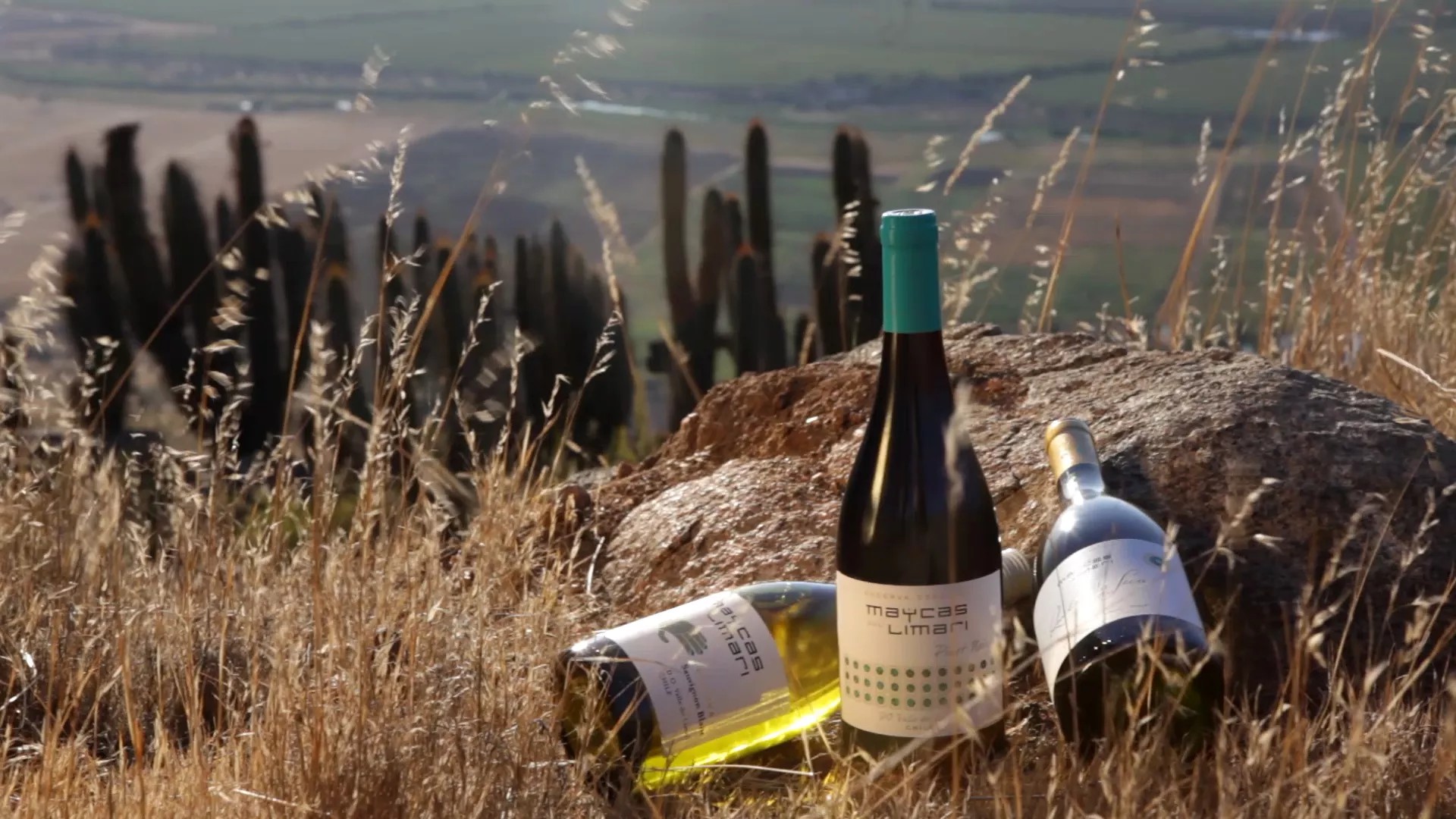 麦卡斯特选珍藏西拉套装，购买即送博芬智能酒柜