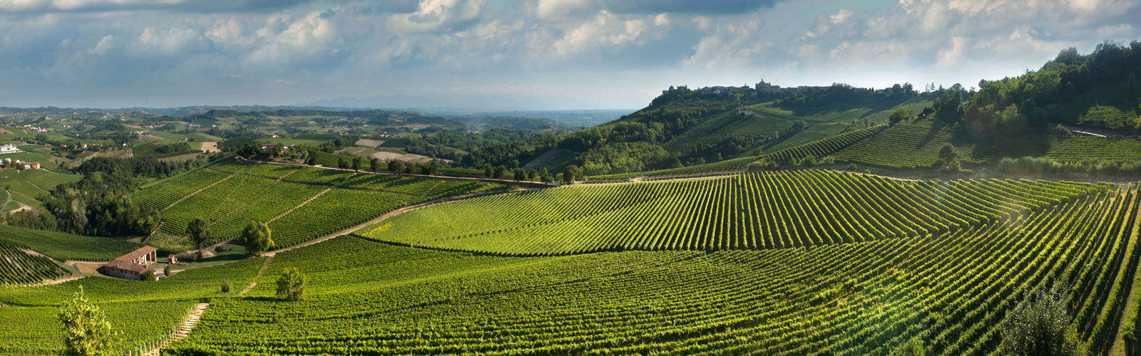 满分酒的酿造：科诺酒庄