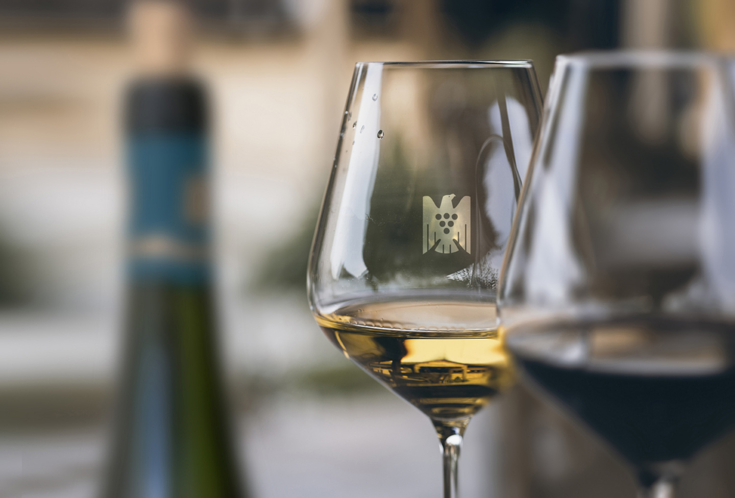 丹尼尔·瓦戈纳：我们的葡萄酒如一曲嬉游曲